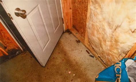 leaked murdaugh crime scene photos|Maggie and Paul Murdaughs Grisly Autopsy Photos。